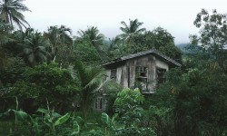 Etiam dictum egestas