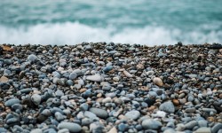 Aliquam erat volutpat